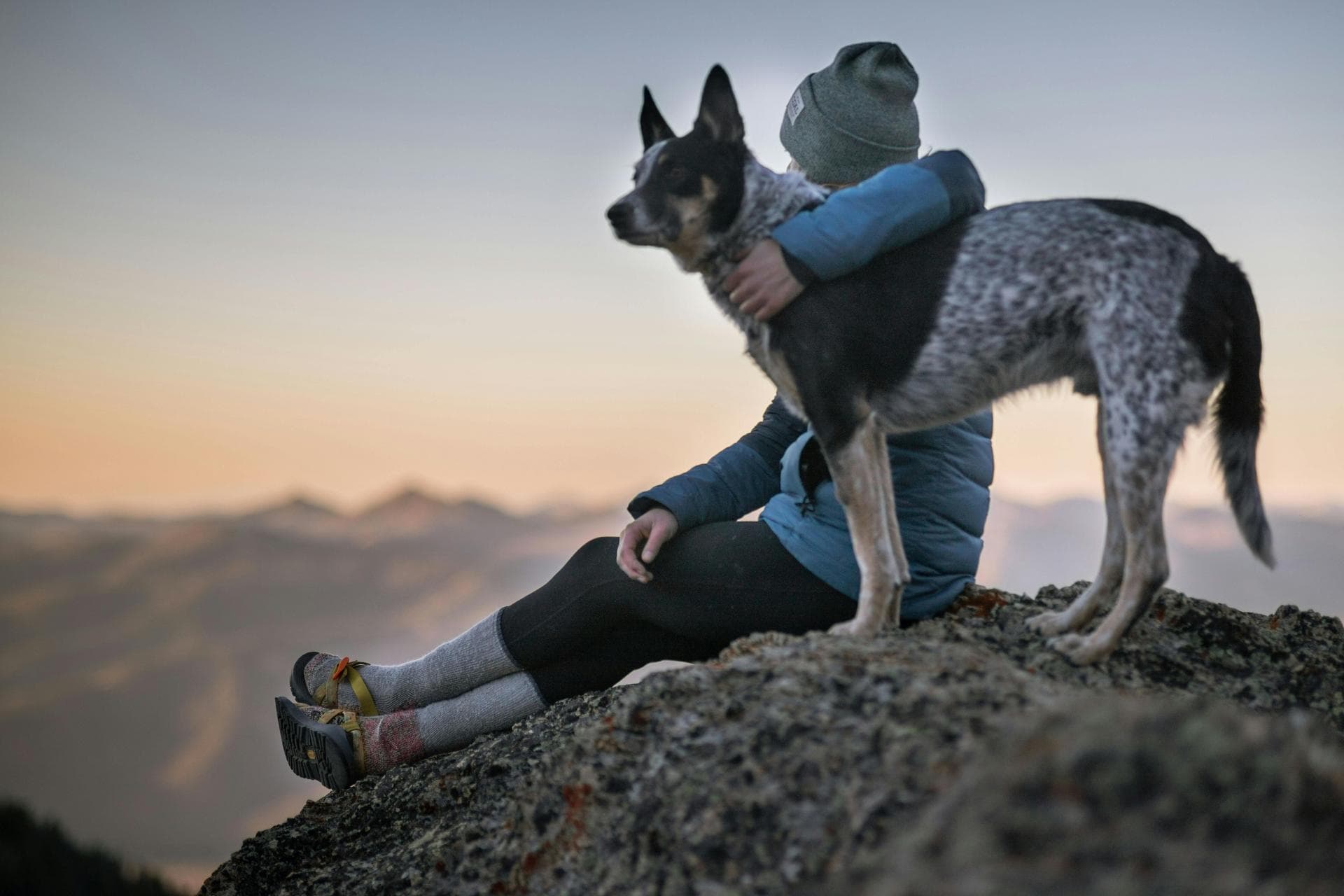Specialist Vets in Tigard